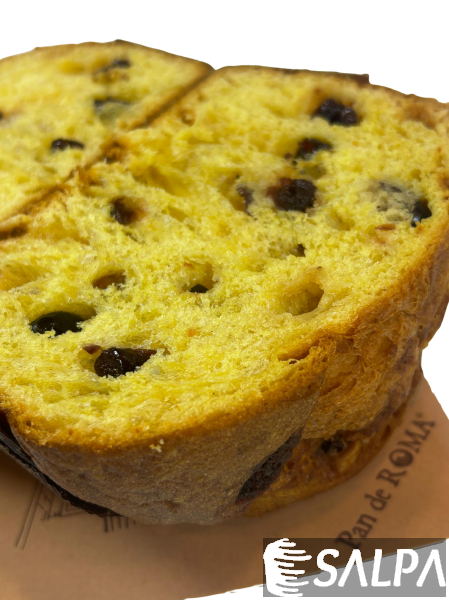 Pan de Roma - SALPA Roma